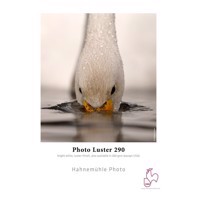 Hahnemühle Photo Luster 290 g/m² - 17" x 30 meter